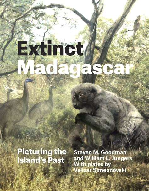 Extinct Madagascar Picturing The Islands Past Goodman Jungers