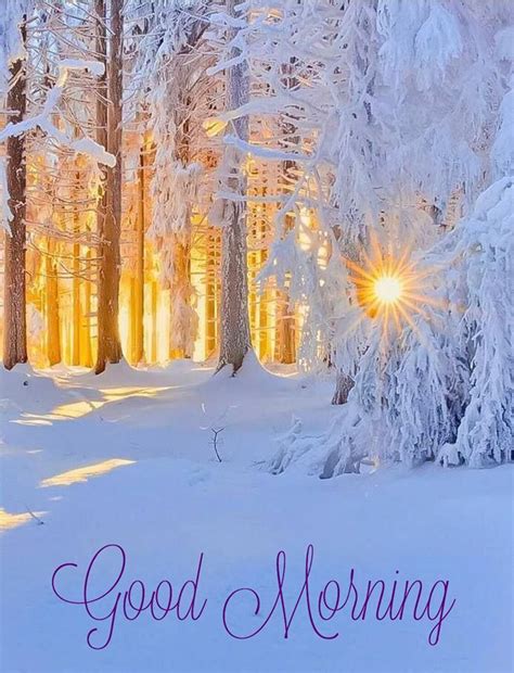 Pin by Patti on Good Morning in 2020 | Winter scenery, Winter pictures ...