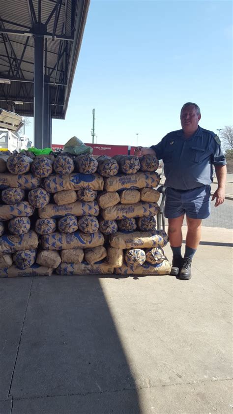 pics massive abalone bust in limpopo