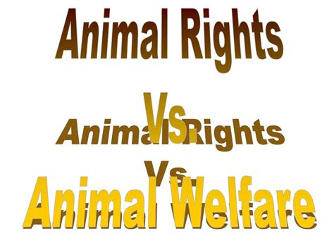 30 Animal Rights Vs Animal Welfare Venn Diagram Nuage Detoiles