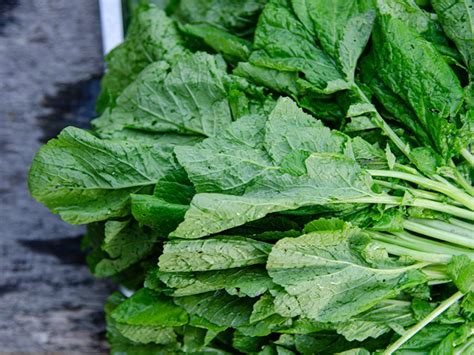 Mustard Greens Nutrition Facts And Health Benefits