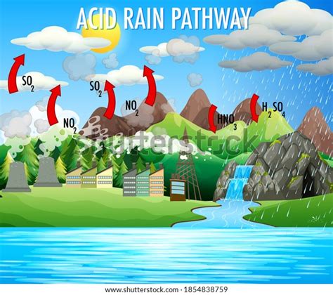 Diagram Showing Acid Rain Pathway Illustration Stock Vector Royalty