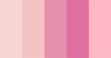 Pink Makeup Powder Color Scheme Pink