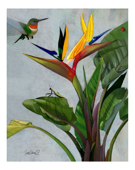 Premium Giclee Print Of Bird Of Paradise On Flower