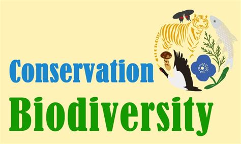 Why Conservation Of Biodiversity Is Important