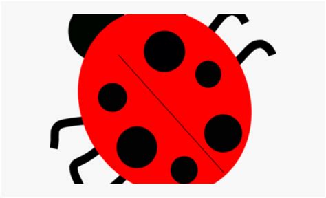 Ladybugs Clipart Red Ladybug Ladybugs Red Ladybug Transparent Free For