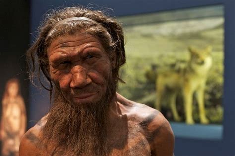 Neanderthal Red Hair