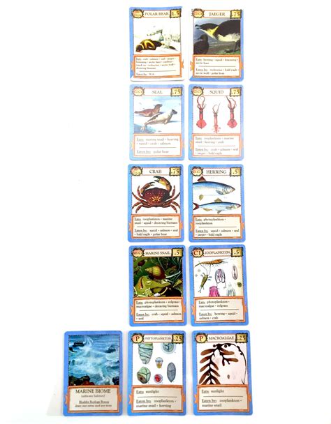 Players stack organisms in rows based on trophic level, with prey below and predators above. Review of Ecologies Animal Card Game by Matthew Montrose