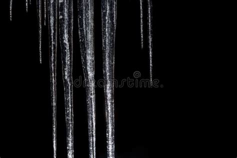 Icicles On A Black Background Stock Photo Image Of Nature Climate