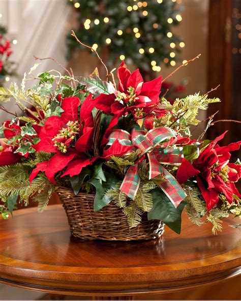 10 Best Beautiful Christmas Plants And Flowers Daily Online News