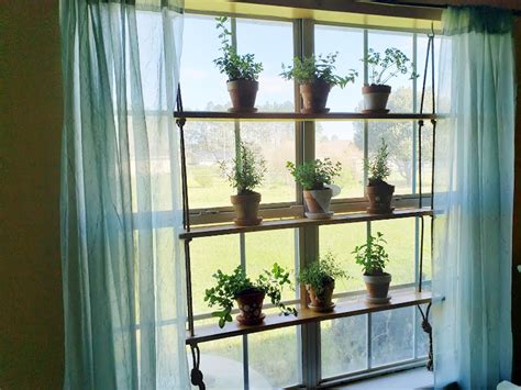 Hanging Herb Garden A Living Window Display Tales From Home