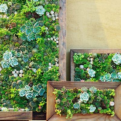 So with that being said there are some general rules. GO GREEN TIP #99: How To Make A Do It Yourself Vertical Garden
