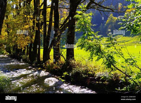 Stream Running In Blazing Light With Trees As Silhouette Hi Res Stock