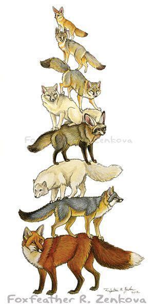 Tower Of Foxes Fox Art Animals Animal Totems