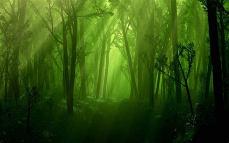 10 Most Popular Dark Enchanted Forest Background Full Hd 1920×1080 For