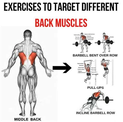 Middle Back Exercises To Target Different Back Muscles 4 Yeah We