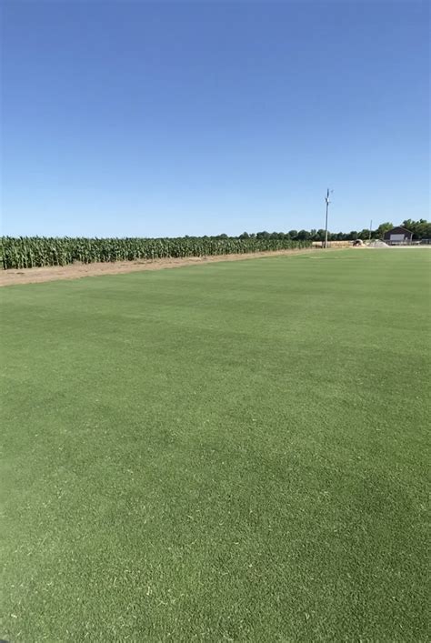 Sod Installations Sod By Sherry® Inc