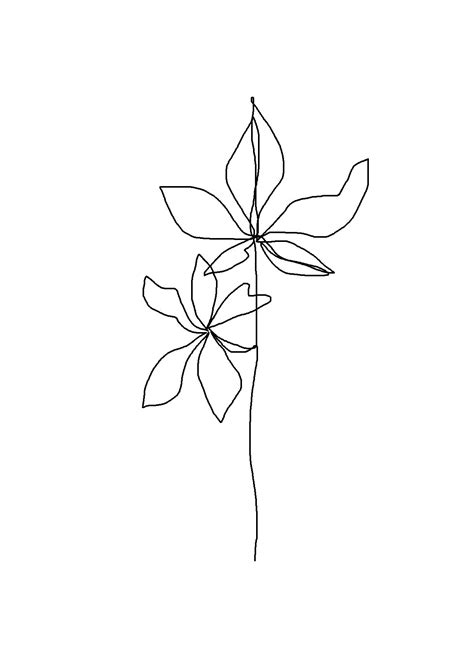 Find & download free graphic resources for flower lineart. One line minimal artwork - plants and leaves - minimalist ...
