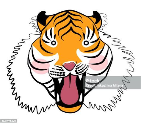 vetores de esboço de um tigre rosnando doce tigre desenho vetor ilustração e mais imagens de