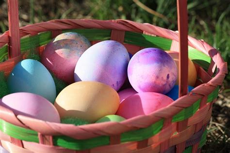 Easter Eggs Multicolored Basket Free Photo On Pixabay Pixabay