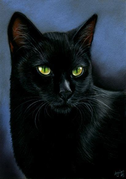 Black Cat By Ac Griehl Groß Art Ist With Images Black Cat