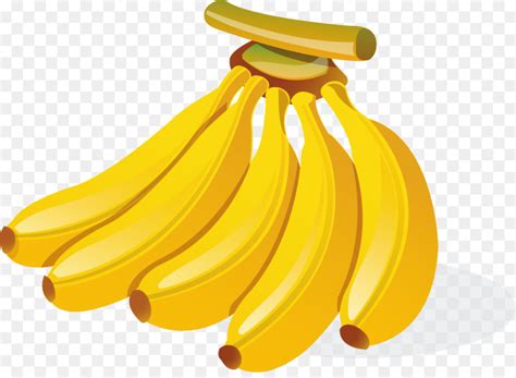 Banana Cartoon Illustration Hand Painted Golden Ripe Bunch Of Bananas