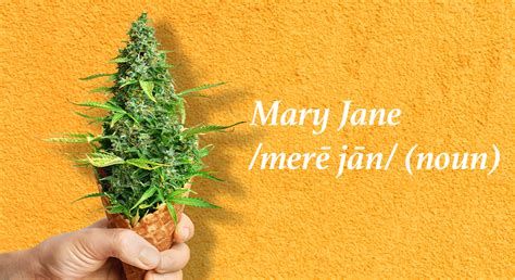 Why Do We Refer To Weed As Mary Jane And Where Did The Nickname Come