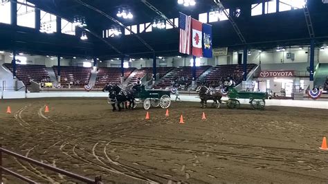 Draft Horse Team Driving Competition At The 2014 Ny State Fair With Jk