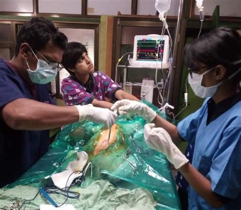 Critters veterinary center comprises of a team of professional vet doctors that provide health care for animal and pets. 7 Best Veterinary Clinics In Navi Mumbai