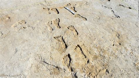 Fossilized Footprints Show Humans Made It To North America Much Earlier