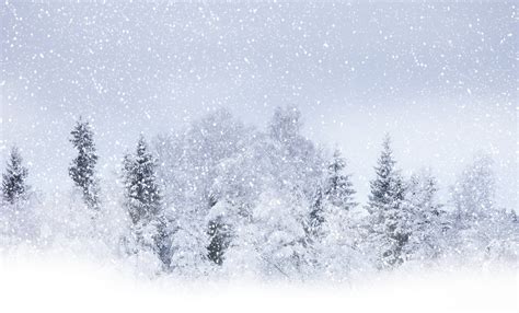 Free Snow Blizzard Cliparts Download Free Snow Blizzard Cliparts Png