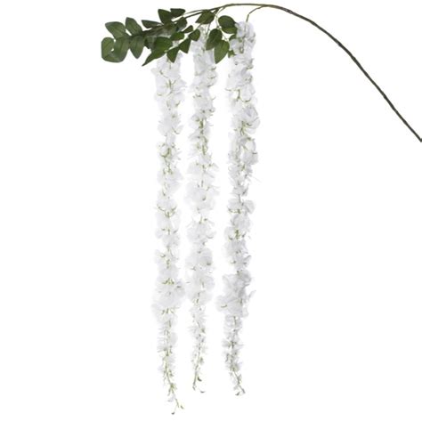 wisteria spray x 3 sprays white 175cm