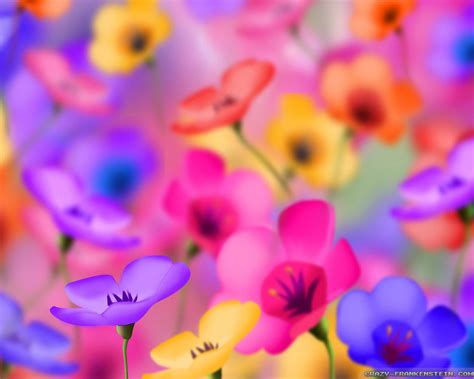 Colorful Flowers Wallpapers Crazy Frankenstein