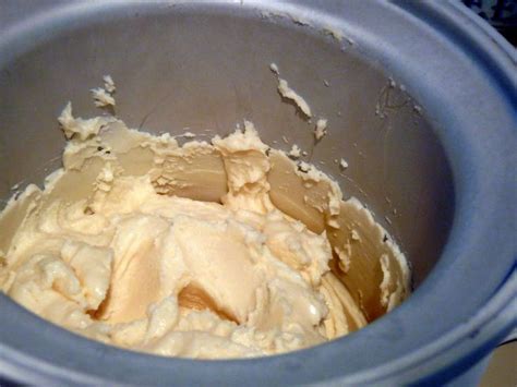Low calorie ice creamthe coconut diaries. 20 Of the Best Ideas for Low Fat Ice Cream Recipes for Cuisinart Ice Cream Makers - Best Diet ...