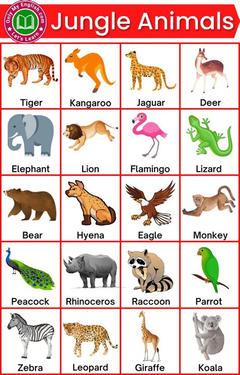 30 Jungle Animals List With Pictures Preschool