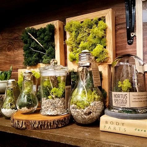 $250 off best buy gps receivers. 10 Stores to Buy Indoor Plants in Metro Manila