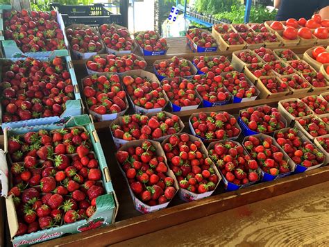 Berry Containers Wasserman Bag