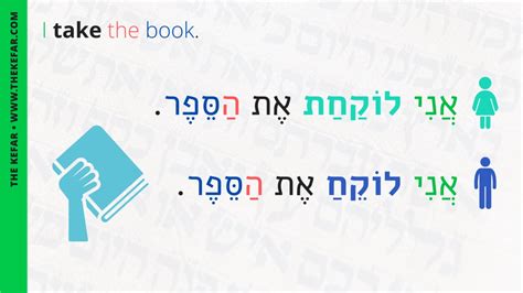 Daily Everyday Hebrew Sentence Videos Notes Activities For Weeks 1 3