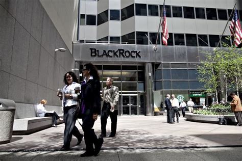 Blackrock Busts 1 Billion Green Power Goal With Second Fund Livemint