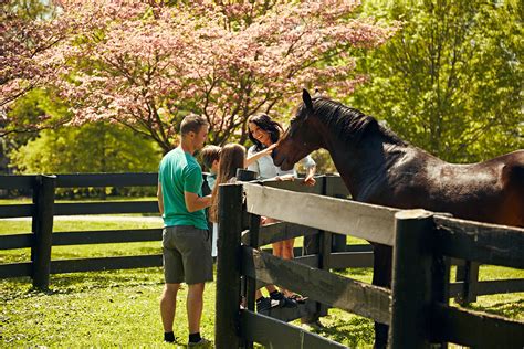 Kentucky Horse Park Kentucky Tourism State Of Kentucky