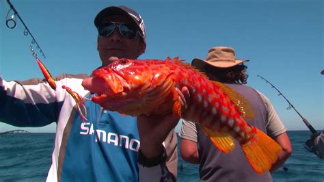 Perth Fishing Tv Episode 3 Jigging Vs Baits Youtube