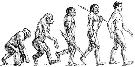 Identify influences on darwin's development of evolutionary theory. Common Science: Wellcome trust/Guardian science writing ...
