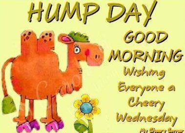 Good Morning Hump Day Days Of The Week Good Morning Wednesday Humpday