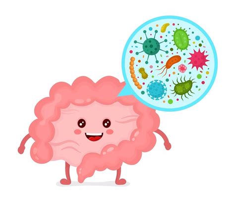 ¿qué Es La Microbiota Intestinal Aprende A Cuidarla