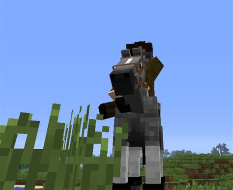 If you don't have a saddle and don't know where to obtain one, skip to the next section where we've provided some tips. Minecraft Horses, A How To Guide For Minecraft 1.6 ...