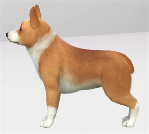 Mod The Sims Improved Pembroke Welsh Corgis