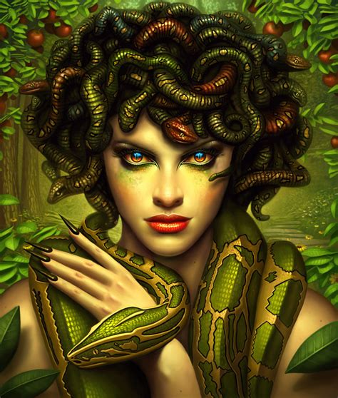 medusa toto