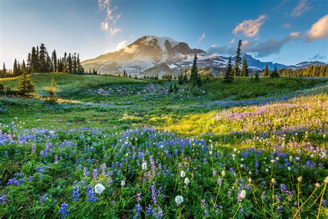 25 Of The Best National Parks In The Usa Beautiful Diverse