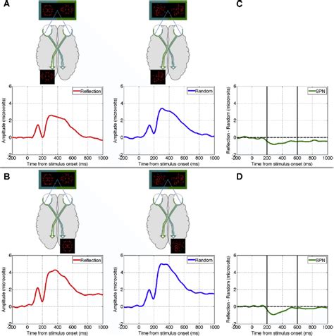 E Experiment 3 Grand Average Event Related Potentials Erps From The