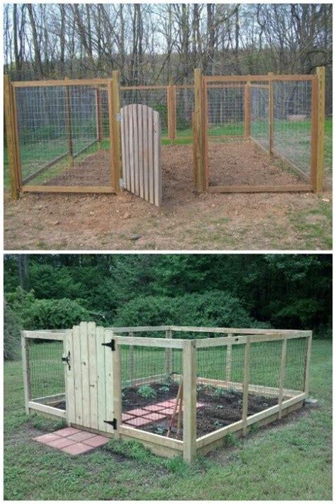 We worked with him to come up with the unique idea of combining a dog kennel and garden into one space. raised bed with deer fence | deer proof vegetable garden ...
